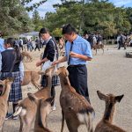 PXL_20251024_004403173