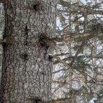 PXL_20260128_013127523